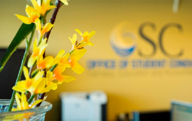 Yellow flowers in a vase in front of a wall with the Office of Student Conduct sign.